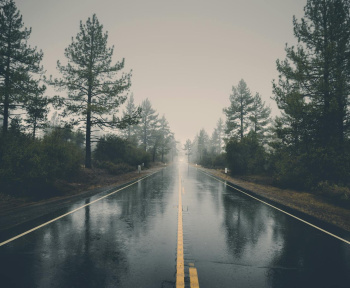 A serene rain-soaked road cutting through a misty forest, creating a mystical atmosphere.